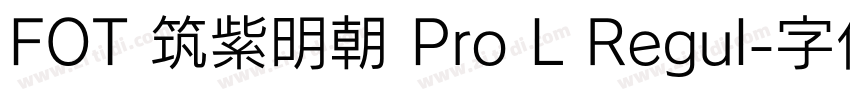 FOT 筑紫明朝 Pro L Regul字体转换